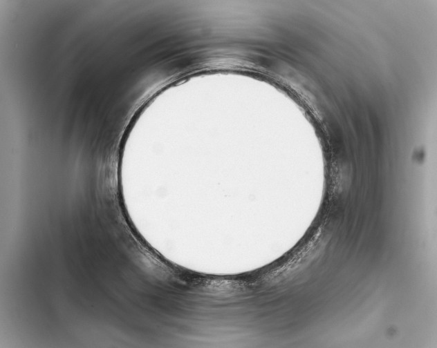 X0000103451322200810031427