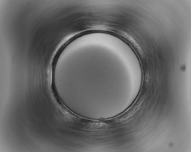 X0000103451323200810031427