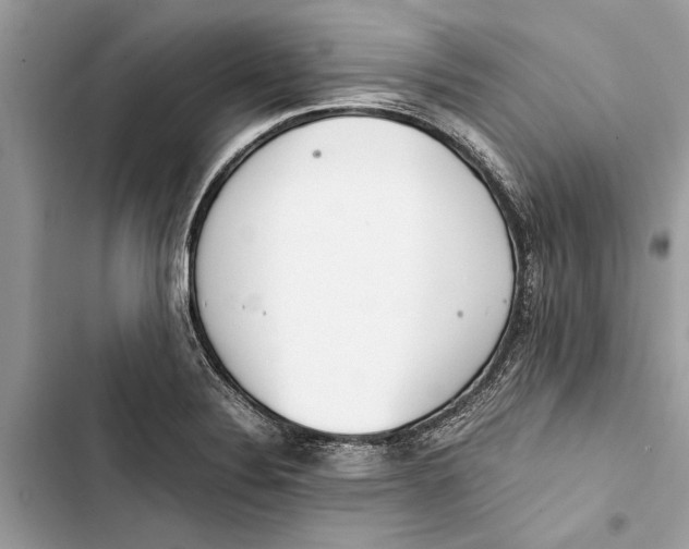 X0000103451324200810031427