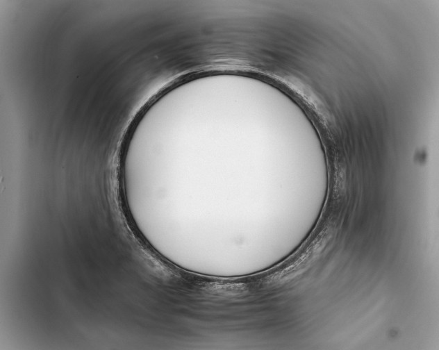 X0000103451325200810031427