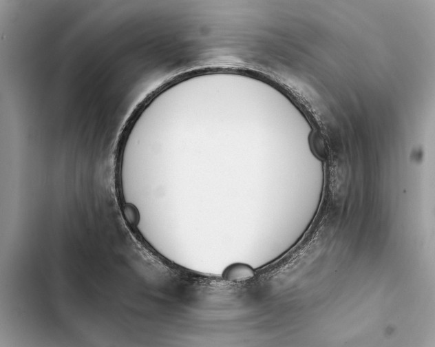 X0000103451326200810031427