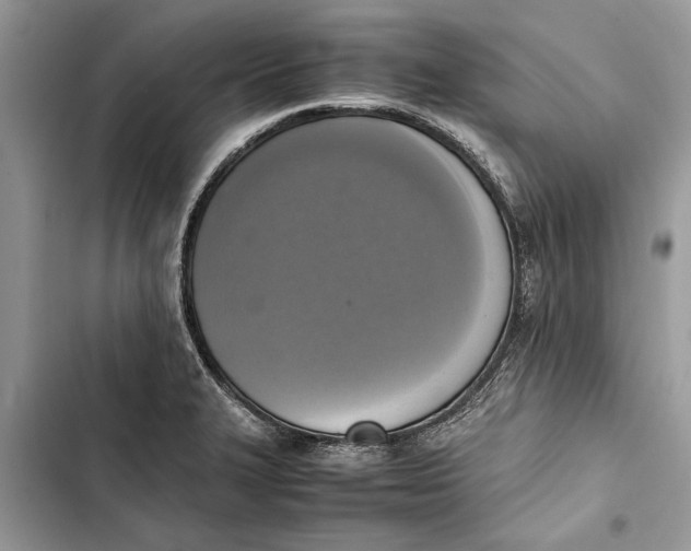 X0000103451327200810031427