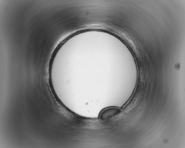 X0000103451328200810031427