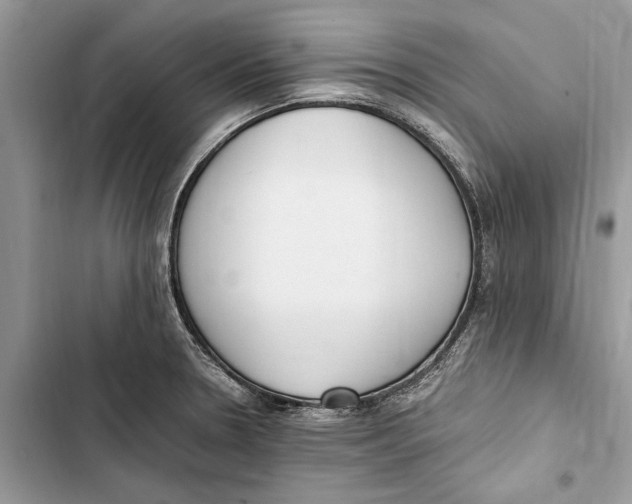 X0000103451330200810031427