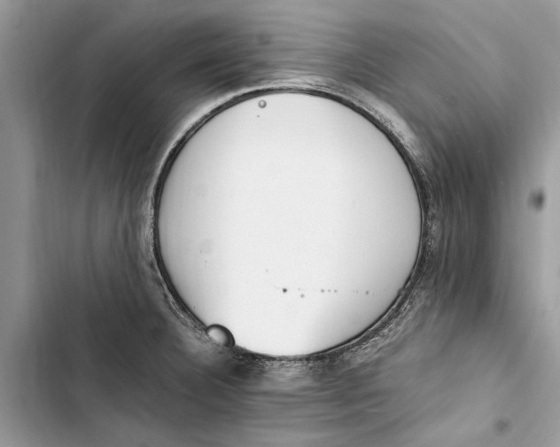 X0000103451332200810031427