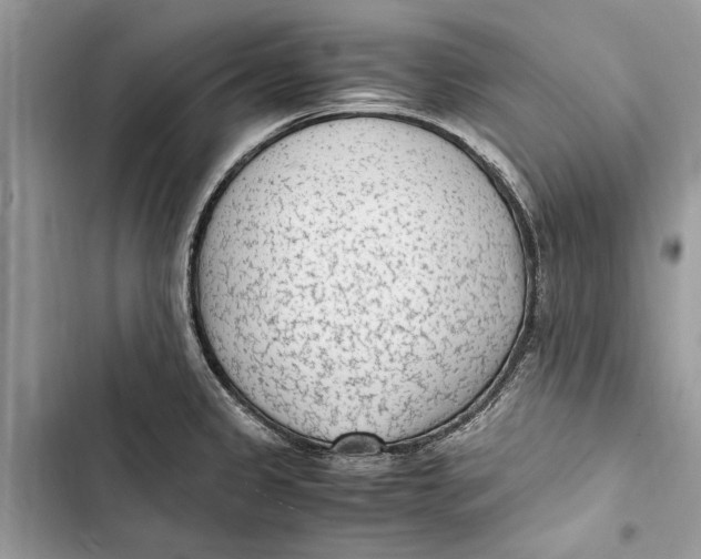 X0000103451333200810031427