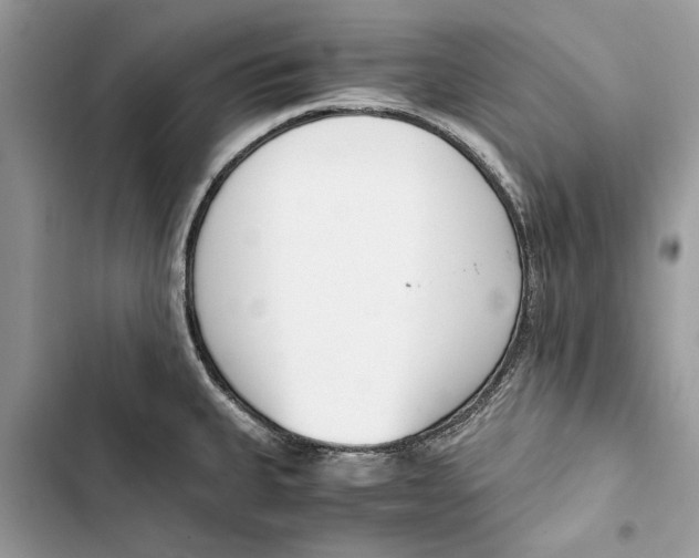 X0000103451335200810031427