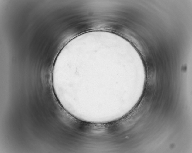 X0000103451338200810031427