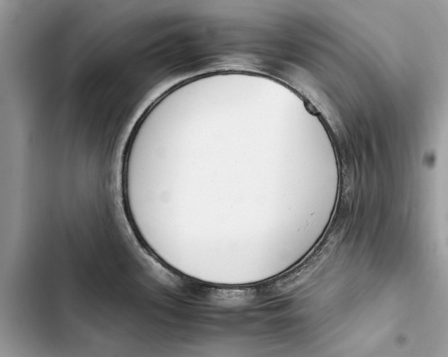 X0000103451339200810031427