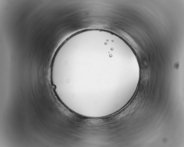 X0000103451340200810031427