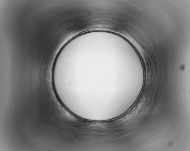 X0000103451341200810031427