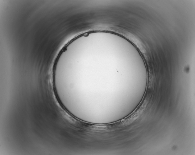 X0000103451342200810031427