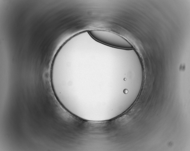 X0000103451344200810031427