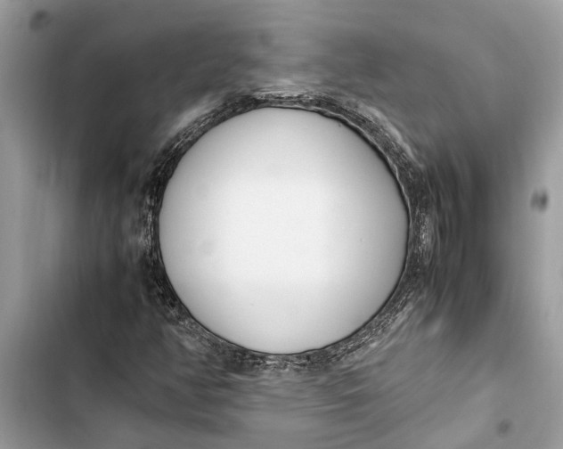 X0000103451350200810031426