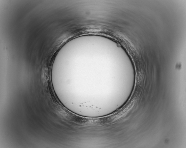 X0000103451353200810031426