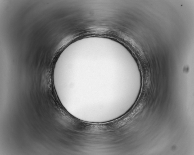 X0000103451354200810031426