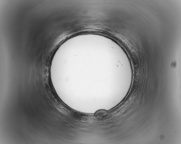 X0000103451355200810031426