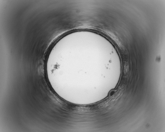 X0000103451356200810031426