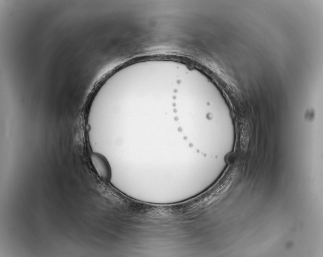 X0000103451358200810031426