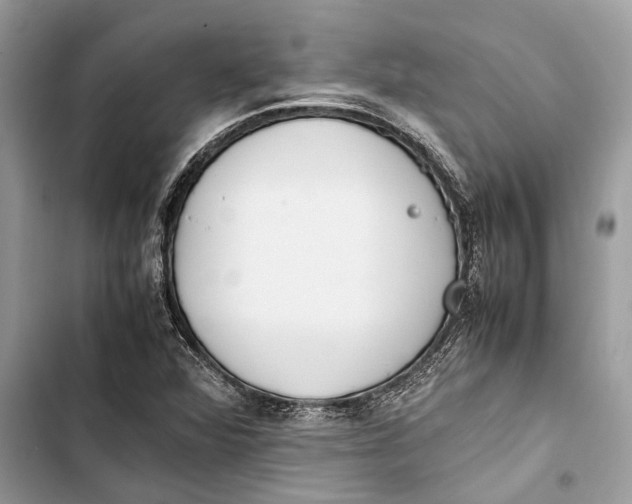 X0000103451360200810031426