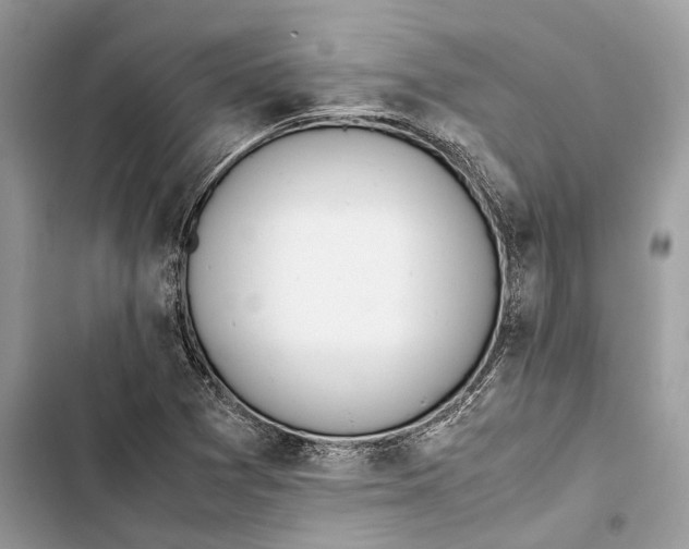 X0000103451361200810031426