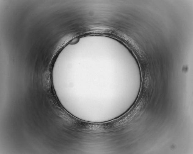 X0000103451362200810031426