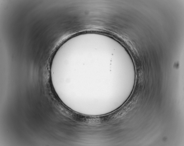 X0000103451363200810031426