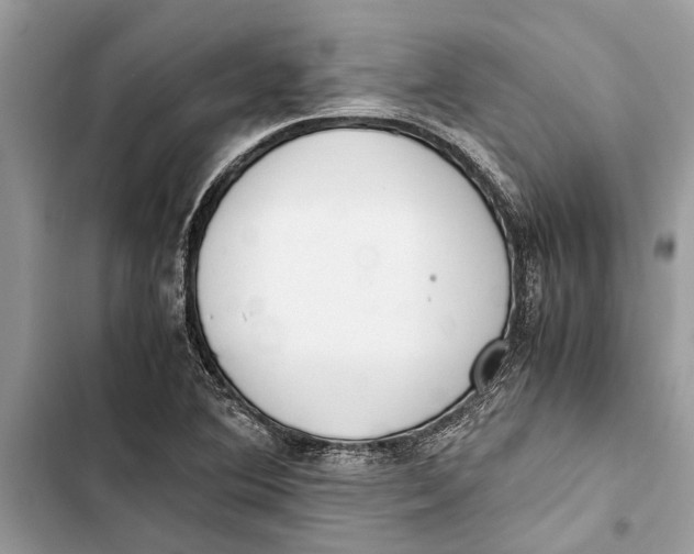 X0000103451364200810031426