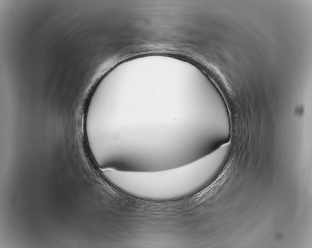 X0000103451365200810031426