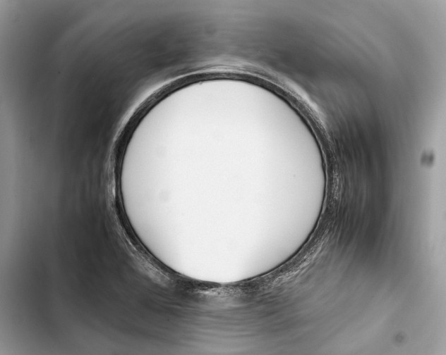 X0000103451368200810031426