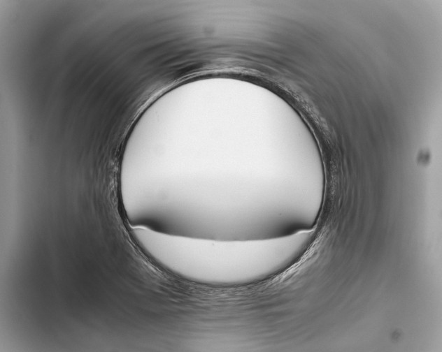 X0000103451369200810031426