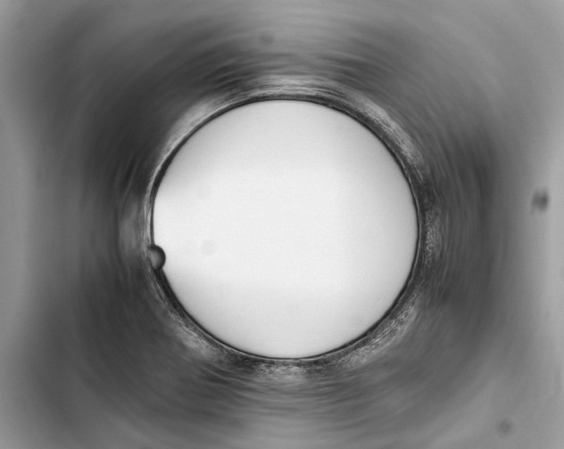 X0000103451370200810031426