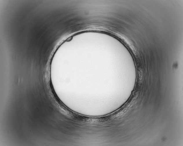 X0000103451371200810031426