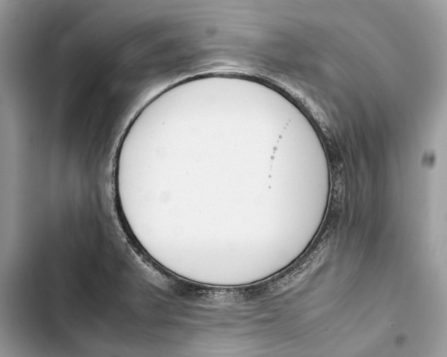 X0000103451375200810031426