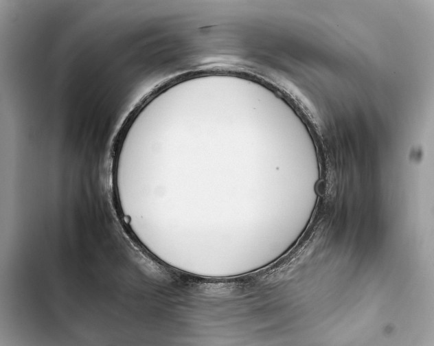 X0000103451376200810031426