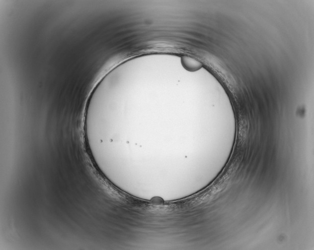 X0000103451378200810031426