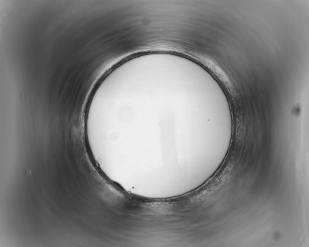 X0000103451380200810031426