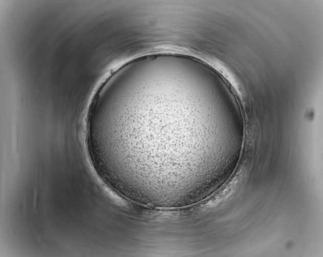 X0000103451381200810031426