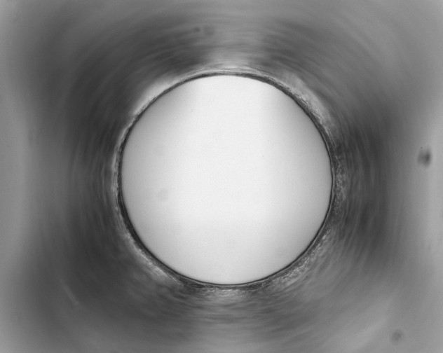 X0000103451382200810031426