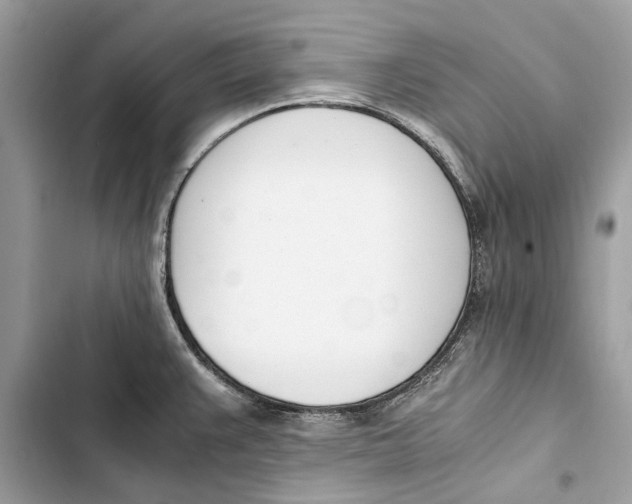 X0000103451383200810031426