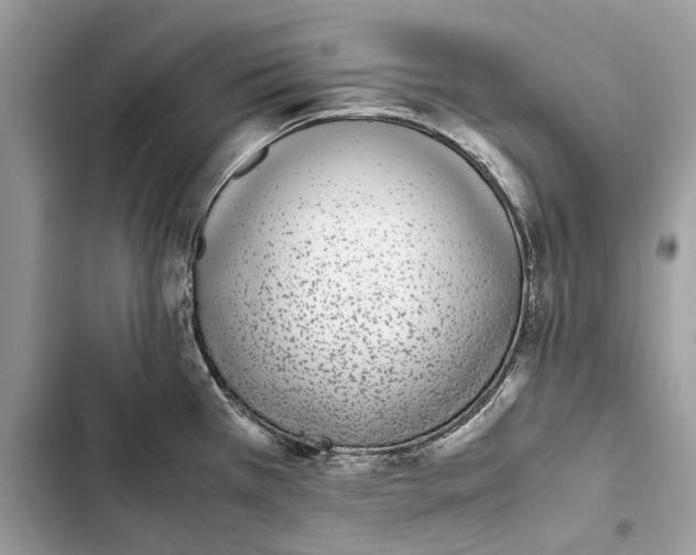 X0000103451385200810031426