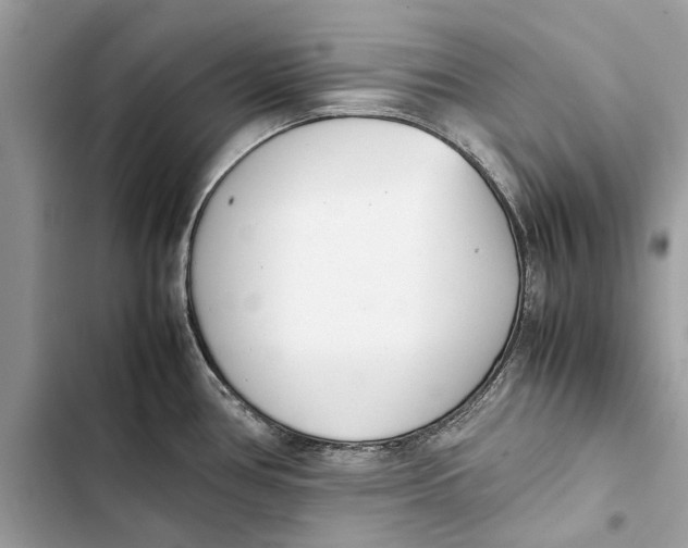 X0000103451386200810031426