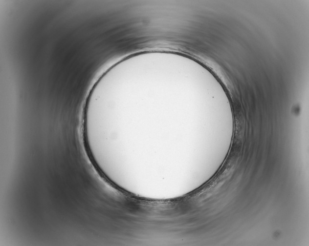 X0000103451387200810031426