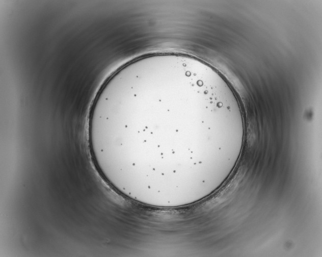 X0000103451388200810031426