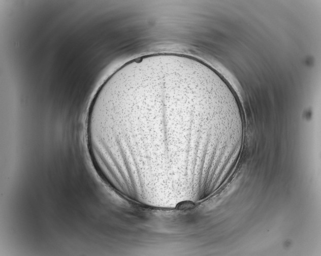 X0000103451389200810031426