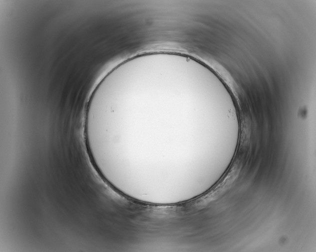 X0000103451390200810031426