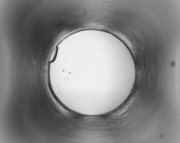 X0000103451391200810031426