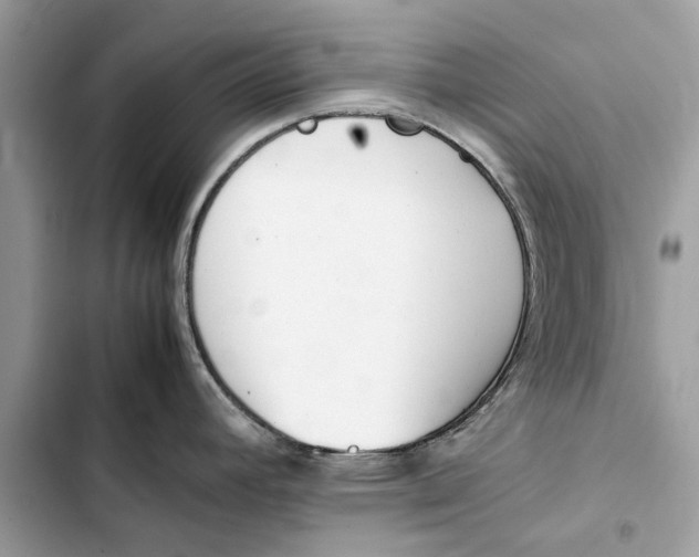 X0000103451392200810031426