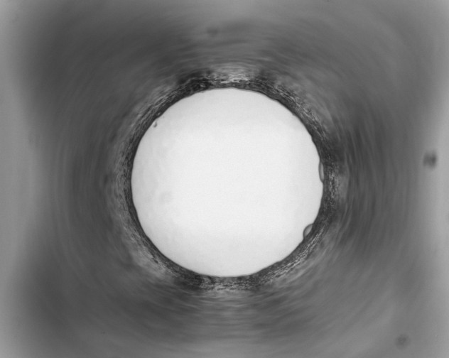 X0000103451393200810031425