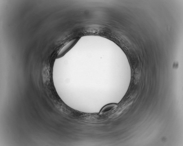 X0000103451394200810031425